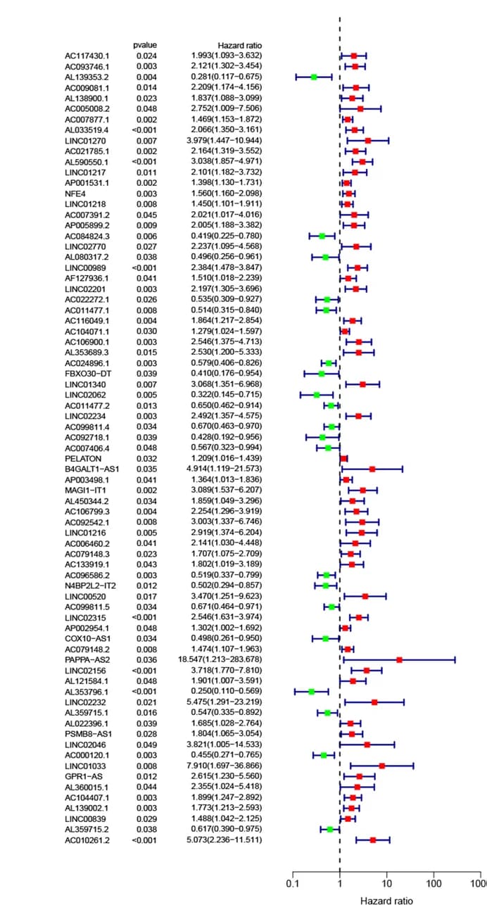 Open access visualization of Forest Plot, Error Bars, Forest Map, Cuproptosis-related lncRNAs, Overall Survival