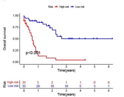 Open access visualization of Line Plot, Survival Curve, AML, Training cohort, Overall survival
