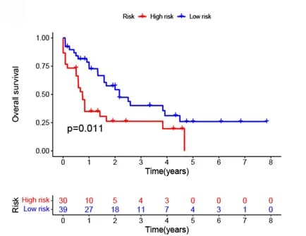 Open access visualization of Survival Curve, AML, Validation cohort, Overall survival