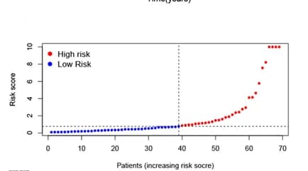 Open access visualization of Scatter Plot, Risk score, AML, Validation cohort