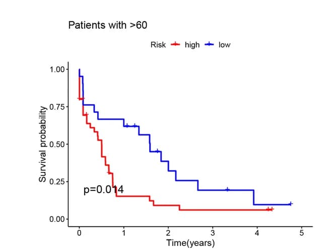 Open access visualization of Survival Curve, Line Step, Kaplan-Meier Survival Curves, Risk Model, Age