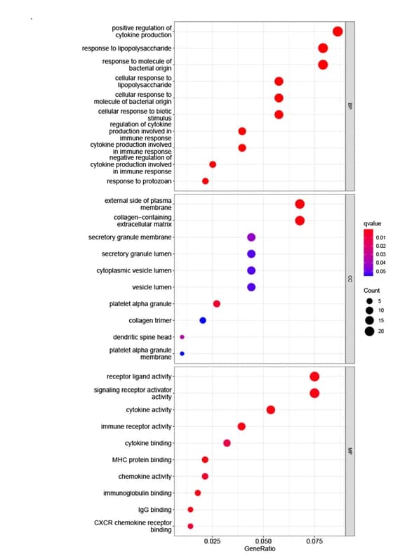 Open access visualization of Scatter Plot, Volcano Plot, Gene Ontology Analysis