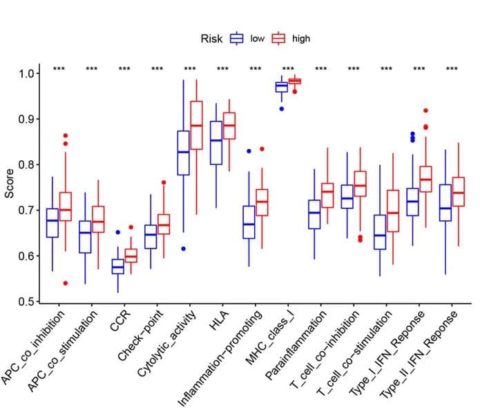 Open access visualization of Box Plot, Immune-Related Functions