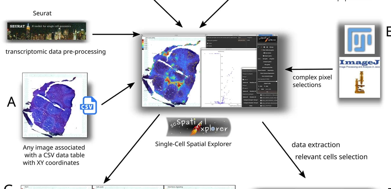 Open access visualization of Workflow, Microscopy, Scatter Plot, Volcano Plot, ST Data