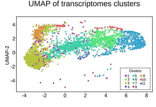 Open access visualization of UMAP, Scatter Plot, Transcriptomic Clusters, Spatial Overlay