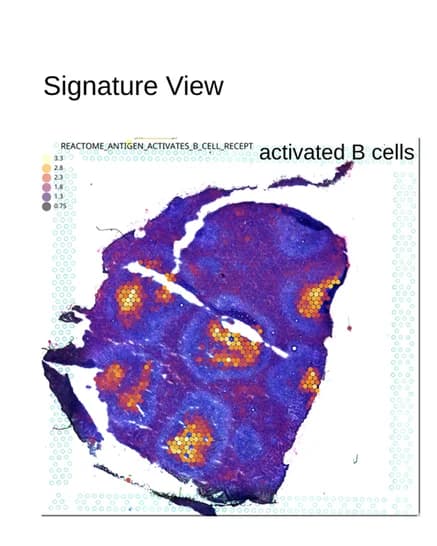 Open access visualization of Microscopy, Signature View, Gene Signatures, Cell Types