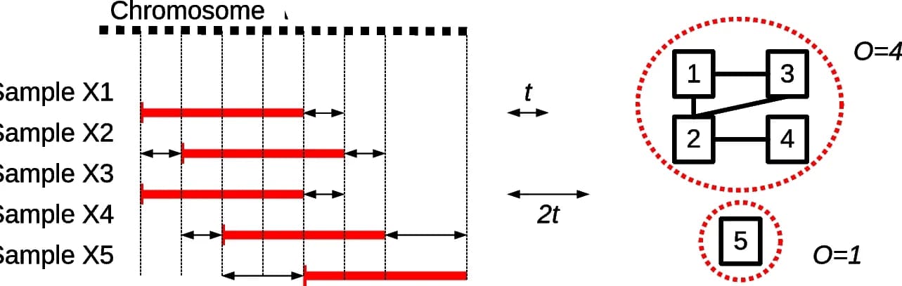 Open access visualization of Network, Manhattan distance, CNVs, Adjacency matrix, Graph
