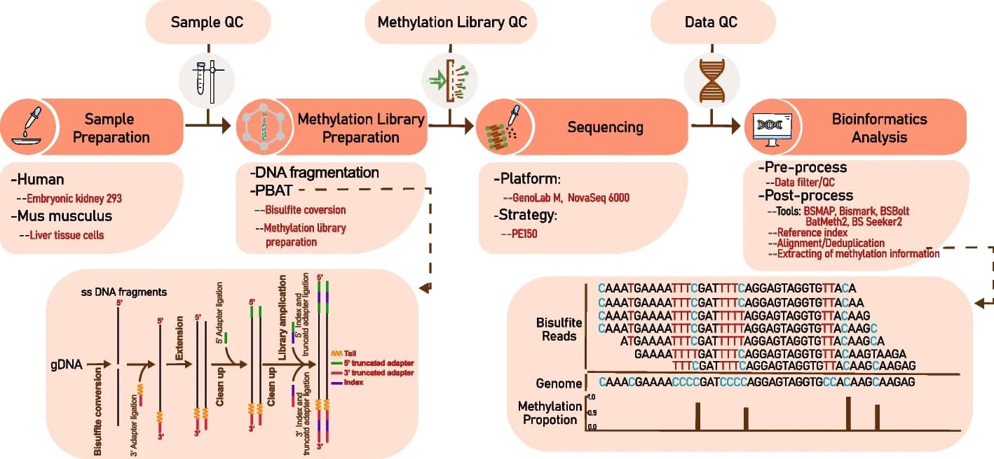 Open access visualization of Workflow, Illustration, Bar Plot, Wet Lab, Dry Lab