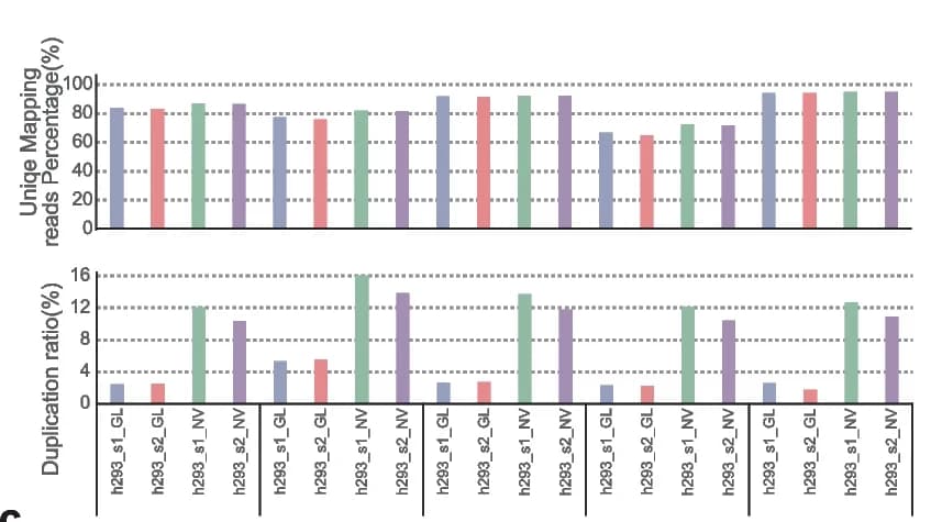 Open access visualization of Bar Plot, Clustered, Mapping Ratio, Duplication Ratio, h293 Samples
