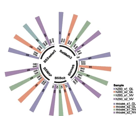 Open access visualization of Bar Plot, Radial Histogram, Methylated CG, Methylated CHG, Methylated CHH