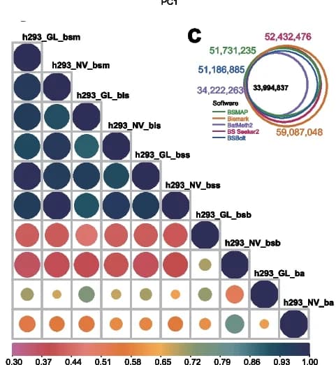Open access visualization of Bubble Plot, Venn Diagram, Correlation, Heatmap, Datasets