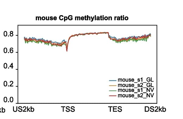 Open access visualization of Line Plot, Methylation ratio, CpG sites, Mouse samples