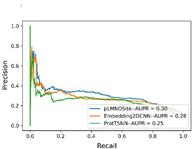 Open access visualization of Line Plot, AUPR Curve, Base Models, pLMSNOSite