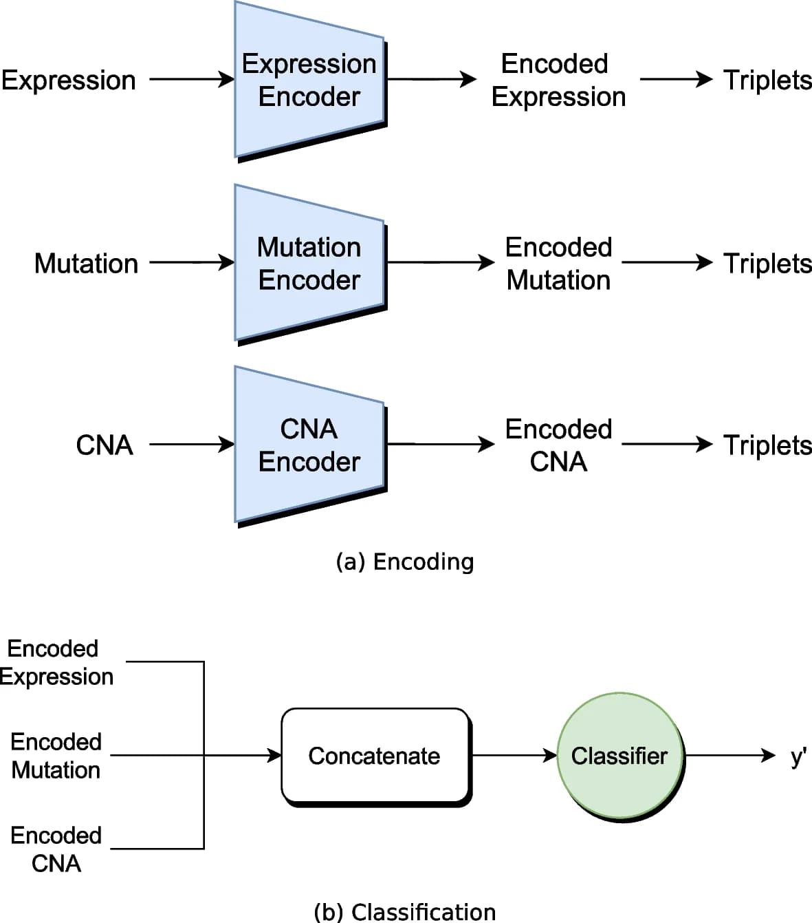Open access visualization of Workflow, Flowchart, Illustration, Super.FELT, Input Omics