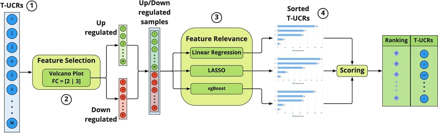 Open access visualization of Workflow, Flowchart, Volcano Plot, Bar Plot, Table Image