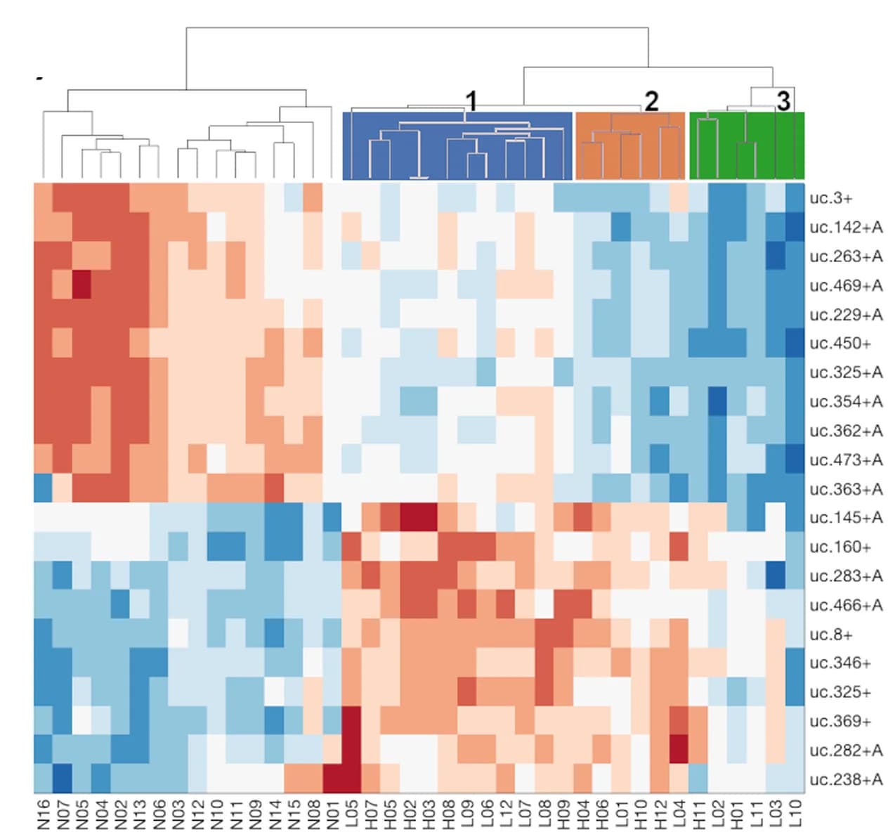 Open access visualization of Heatmap, Clustered, T-UCRs, Expression profile, Hierarchical clustering