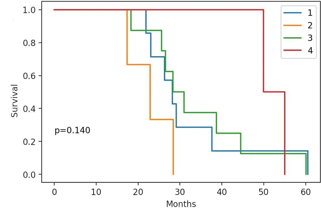 Open access visualization of Survival Curve, Line Step, BlCa Patients, Survival Analysis, Patient Groups
