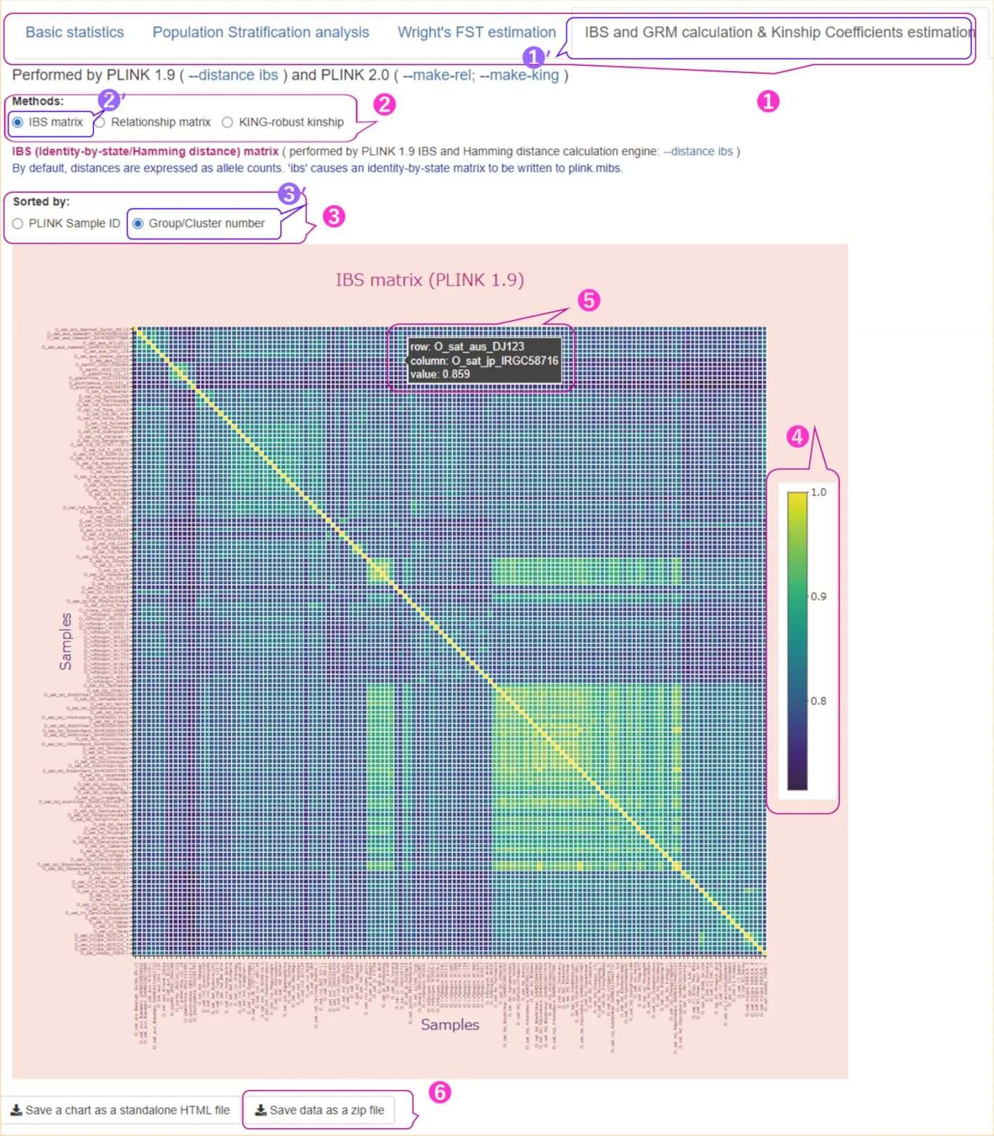Open access visualization of Heatmap, IBS, GRM, Kinship coefficient, User interface