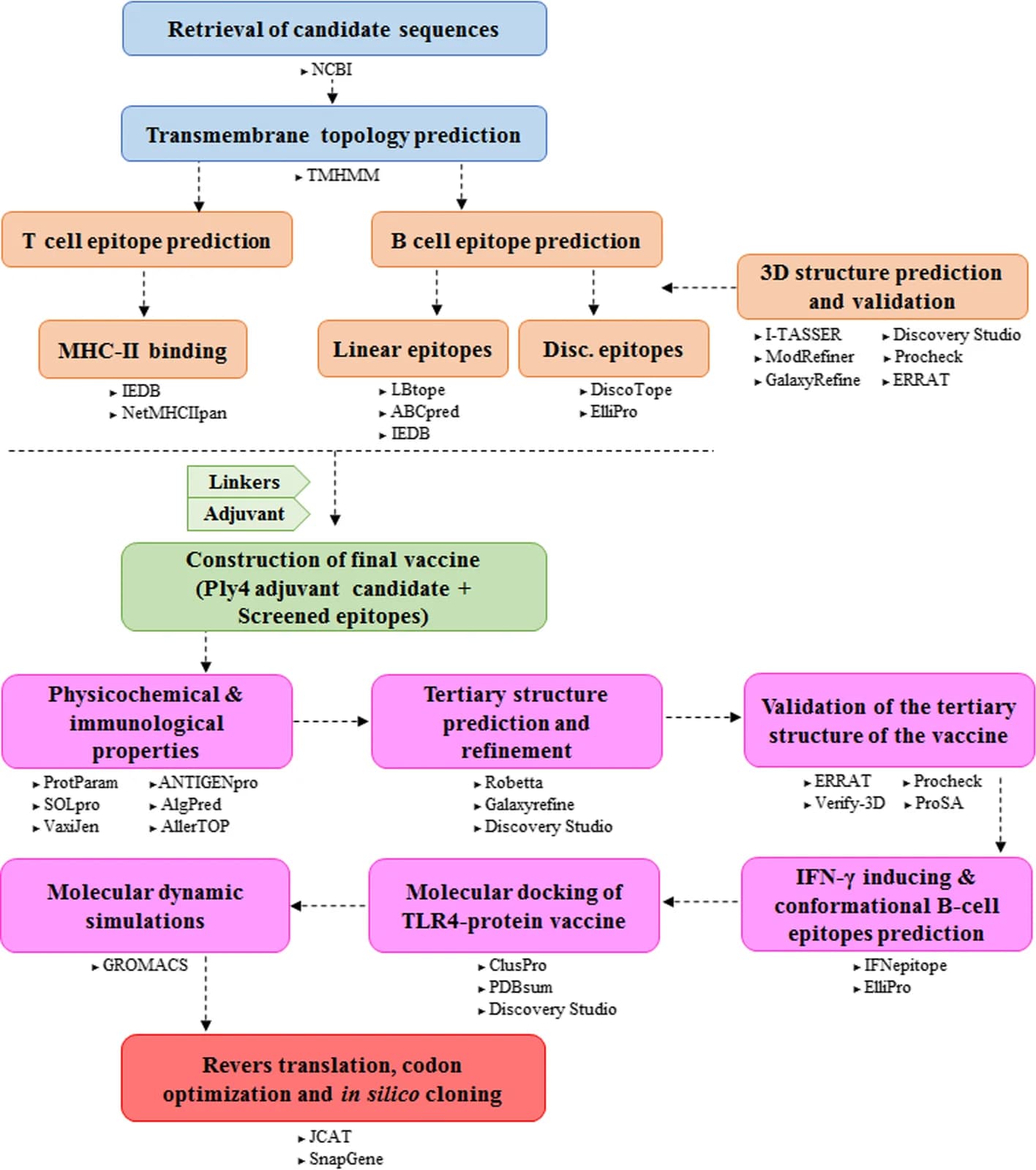 Open access visualization of Workflow, Flowchart, Multi-epitope Vaccine, S. pneumoniae, Vaccine Development