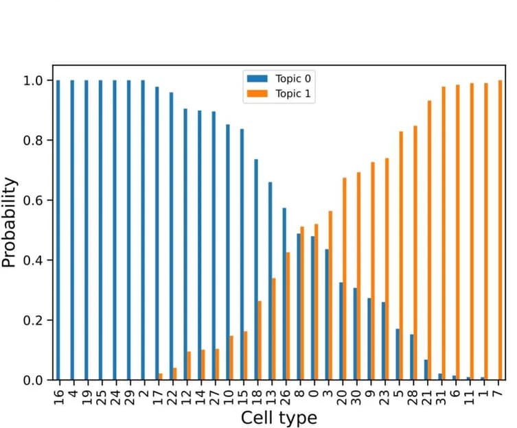 Open access visualization of Bar Plot, Clustered, Cell Types, Topics, Conditional Probabilities