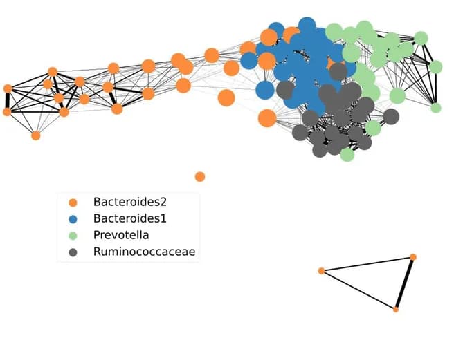 Open access visualization of Network, Pathway, Patient network, Genus data, Enterotypes