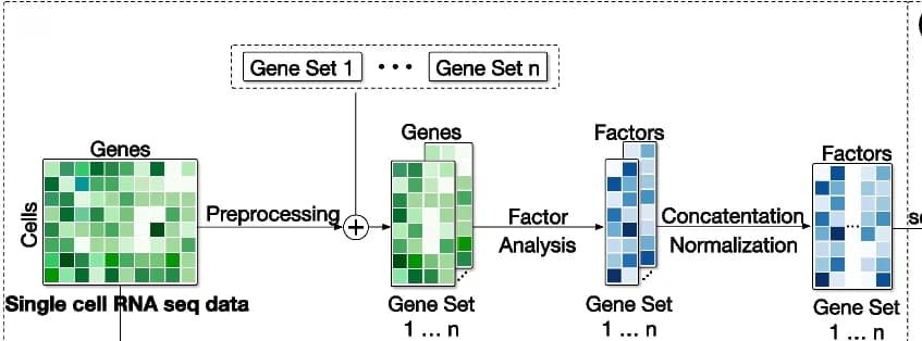 Open access visualization of Workflow, Flowchart, Data Pre-processing, Pathway Gene Sets