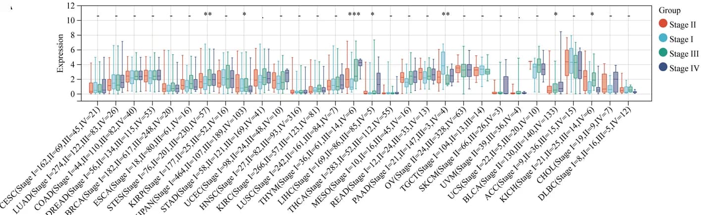 Open access visualization of Box Plot, KCNH2 expression, Clinical stage