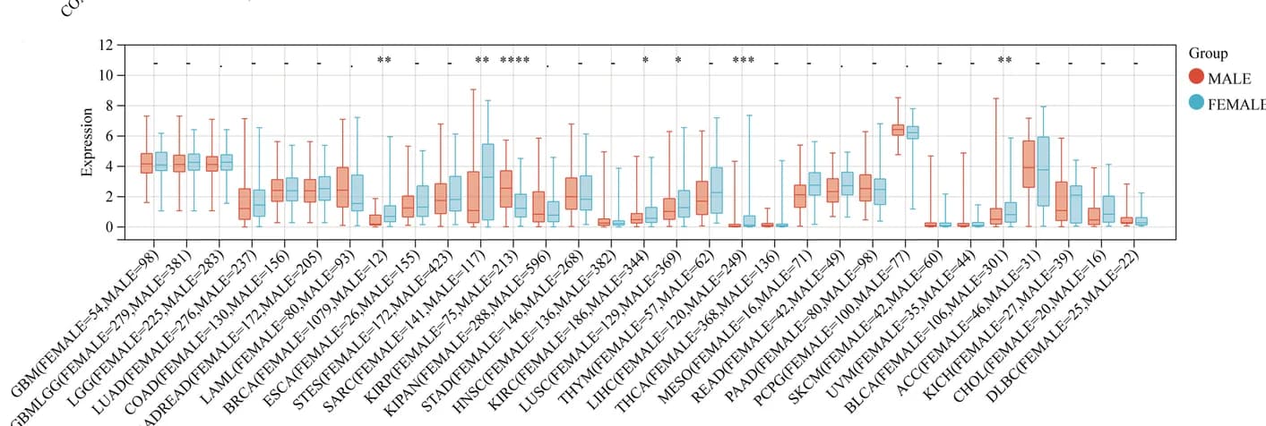 Open access visualization of Box Plot, KCNH2 expression, Sex