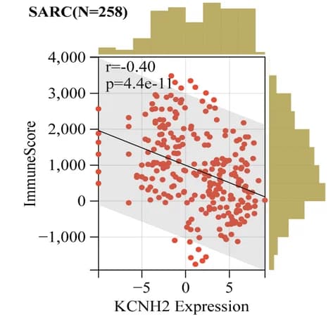 Open access visualization of Scatter Plot, Regression Plot, Histogram, Immune Score