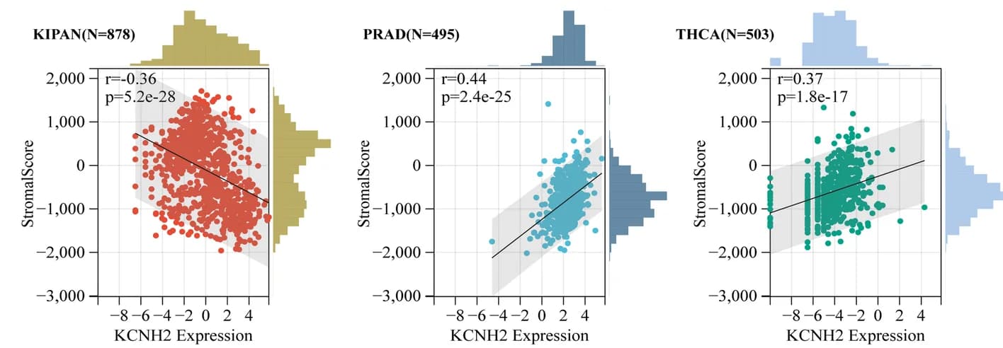 Open access visualization of Scatter Plot, Regression Plot, Histogram, Stromal Score