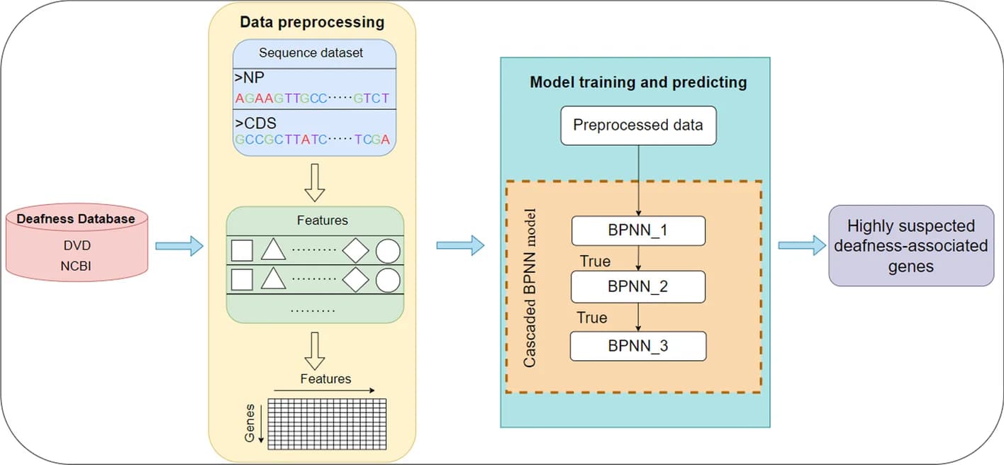 Open access visualization of Workflow, Flowchart, Study Design, Single Cell Sequencing, Spatial Transcriptomics