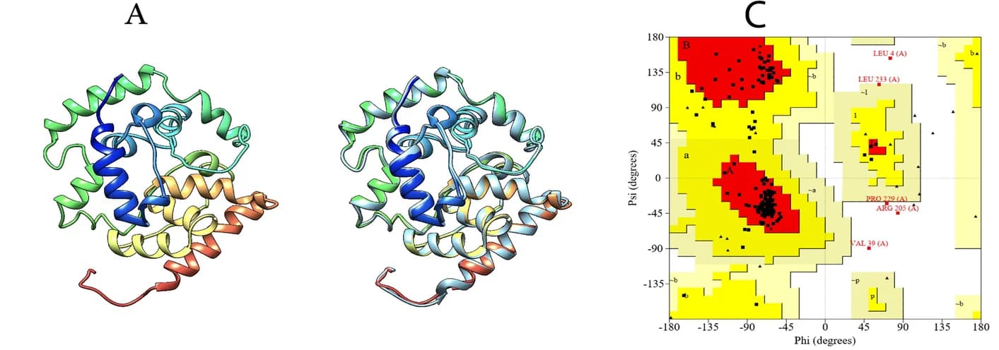 Open access visualization of Protein Structure, Scatter Plot, 3D Structure, Multi-Epitope Vaccine, Refinement