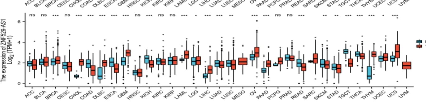 Open access visualization of Box Plot, ZNF529-AS1, GTEx, TCGA, Tumor tissues