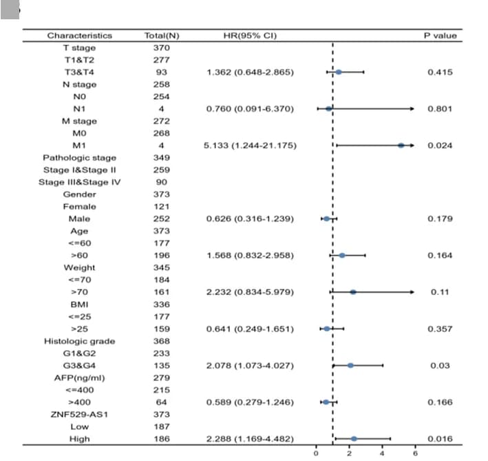 Open access visualization of Forest Plot, Error Bars, Multivariate Cox Regression, ZNF529-AS1, Clinical Characteristics