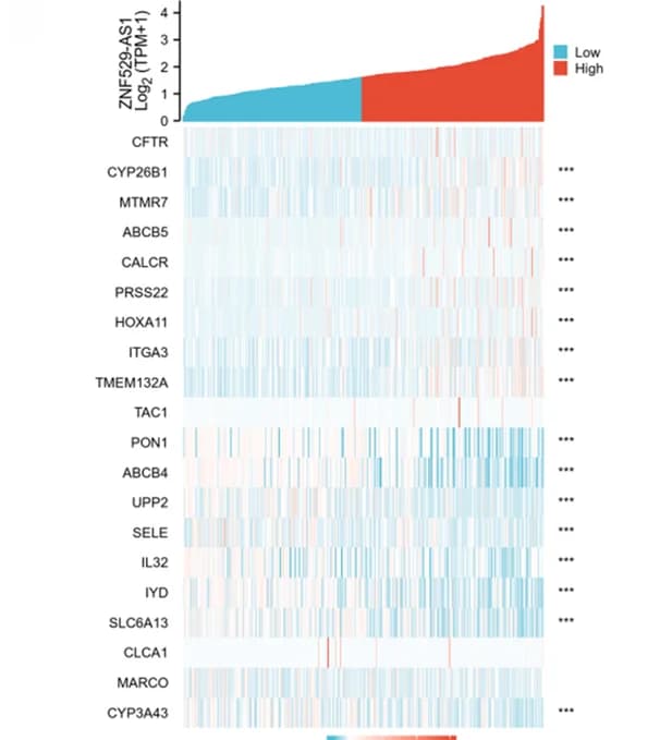 Open access visualization of Heatmap, Bar Plot, Differentially Expressed Genes, Upregulated Genes, Downregulated Genes