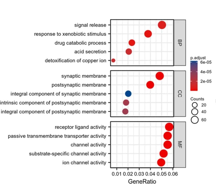 Open access visualization of Bubble Plot, ZNF529-AS1, Genes, Biological Process