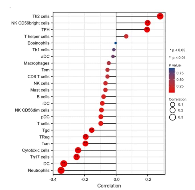 Open access visualization of Bubble Plot, ZNF529-AS1, Immune Cells
