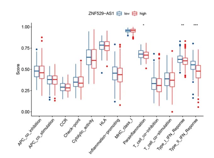 Open access visualization of Box Plot, Scatter Plot, Immune Function, HCC Patients, ZNF529-AS1