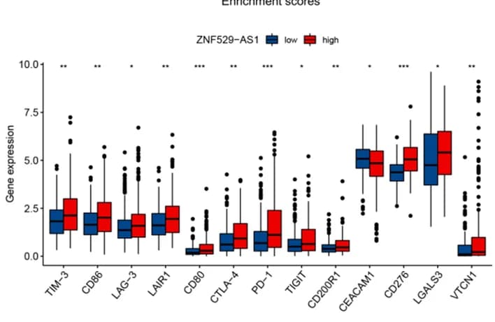 Open access visualization of Box Plot, Immune Checkpoints, HCC Patients, ZNF529-AS1