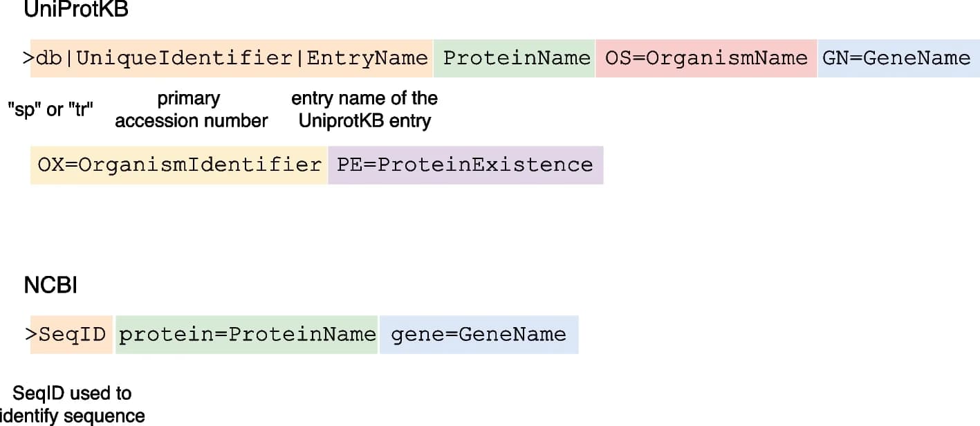 Open access visualization of Illustration, FASTA, Protein Sequence, UniProtKB, NCBI