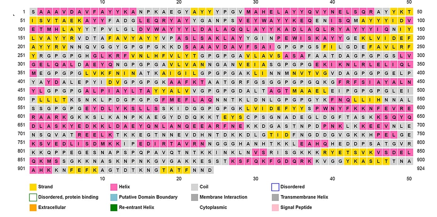 Open access visualization of Illustration, Beta-strands, Alpha-helix, Random coils