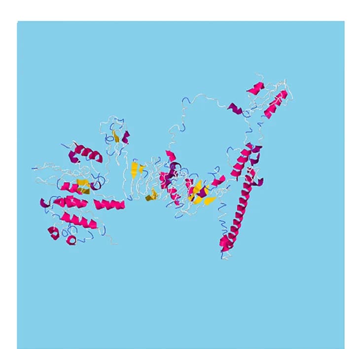 Open access visualization of Protein Structure, 3D Structure, Multi-epitope Vaccine, Beta-strands, Alpha-helix