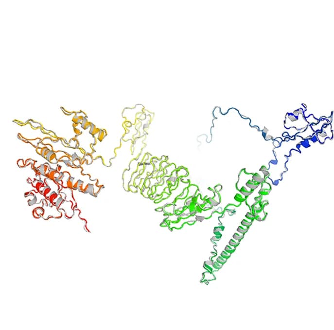 Open access visualization of Protein Structure, 3D Structure, Multi-epitope Vaccine