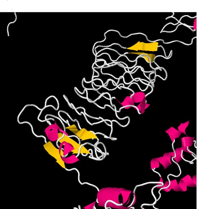 Open access visualization of Protein Structure, Vaccine Construct, Disulfide Engineering, Mutant