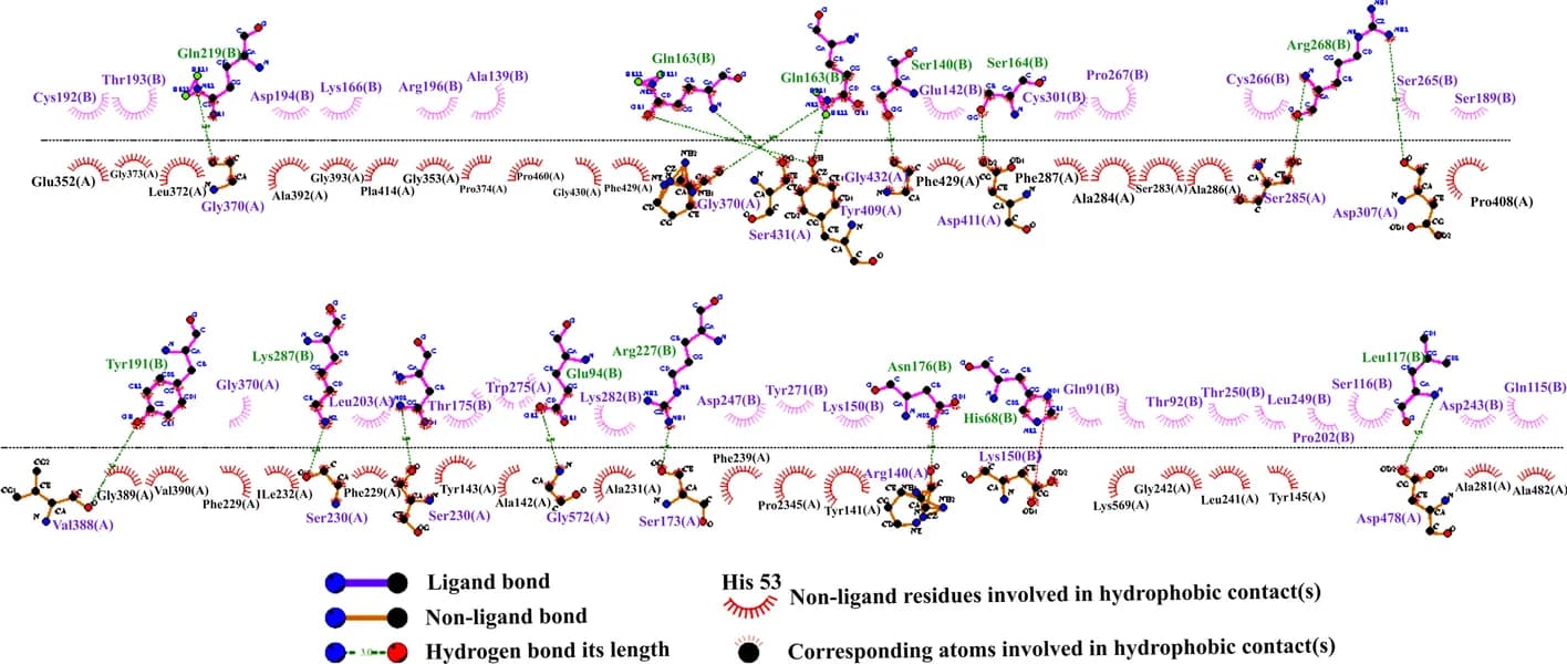 Open access visualization of Chemical Structure, Vaccine, TLR4, Residues, Hydrogen bonds