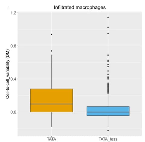 Open access visualization of Box Plot, Cell-to-cell Variability, Genes, TATA-box, Infiltrated Macrophages