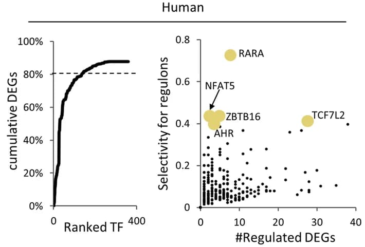 Open access visualization of Scatter Plot, Line Plot, Differentially Expressed Genes, Transcription Factors, Gene Regulation