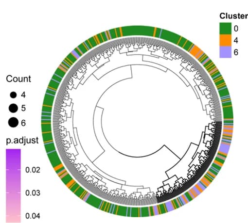 Open access visualization of Network, Pathway, Chord, Kidney Cells, Septic Mouse