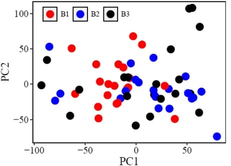 Open access visualization of Scatter Plot, PCA, Batches, Samples, Distribution
