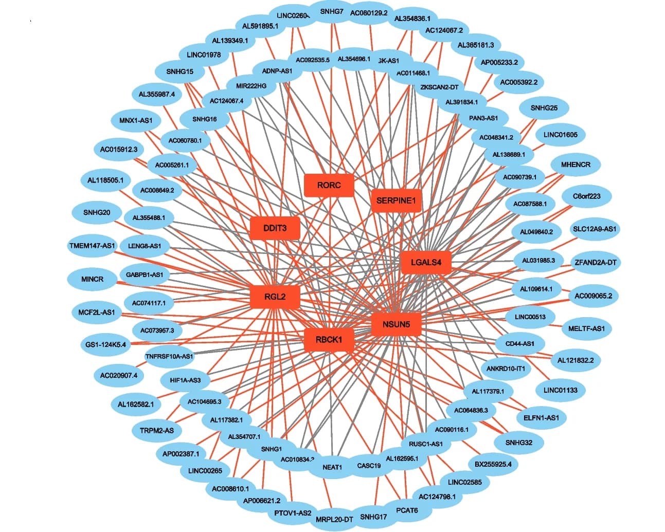 Open access visualization of Network, Pathway, lncRNAs, Prognostic Model Genes, Negative Correlation